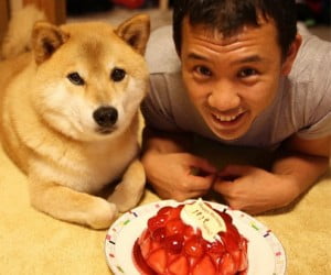 まるパパ