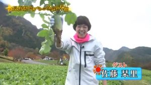 %e9%9d%92%e7%a9%ba%e3%83%ac%e3%82%b9%e3%83%88%e3%83%a9%e3%83%b3midori3