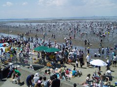 潮干狩り 潮見表で千葉の金田海岸や富津海岸の最適日をチェック もっちりタイム